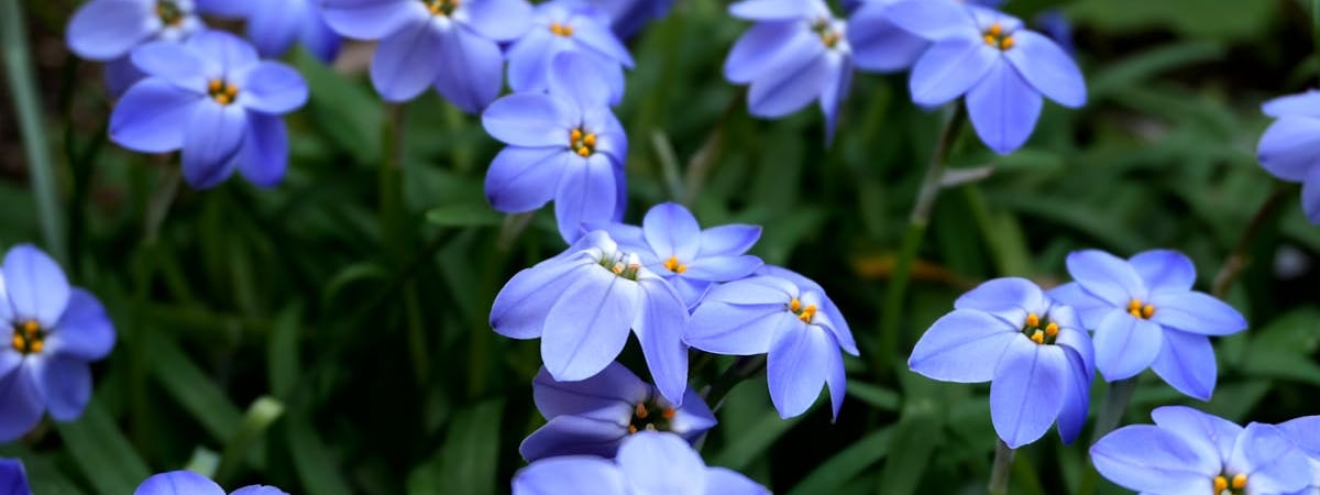 Япония не будет отвечать зеркально на пошлины США