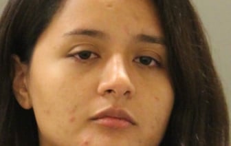 Американскую учительницу обвинили в рассылке откровенных фотографий сексуального характера 14-летней девочке.