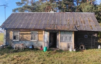 Белорус принес с работы яд, чтобы вытравить грызунов в доме. Умер и он, и жена