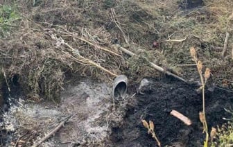 Жуткая смерть: пенсионерка упала в костер и сгорела в Чаусском районе
