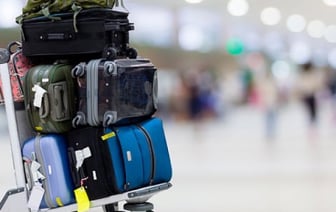 В чемодане по возвращении из отпуска вас может ждать неприятный сюрприз