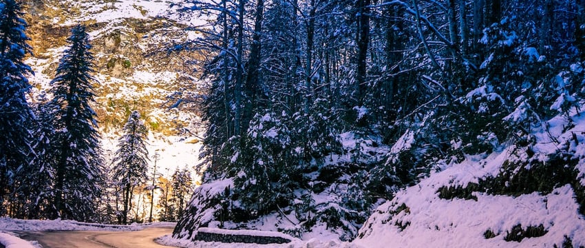 Сложные погодные условия установились на Полесье