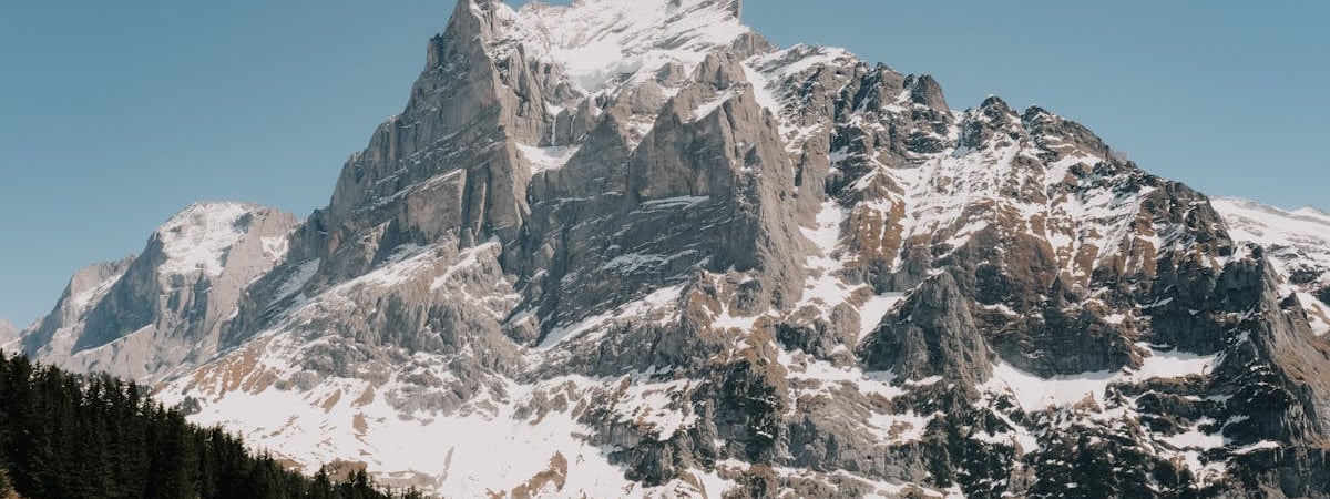 Мировые продажи чипов в августе достигли максимума за 2,5 года