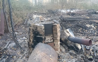 Останки женщины обнаружены в лесу в Браславском районе, она сгорела