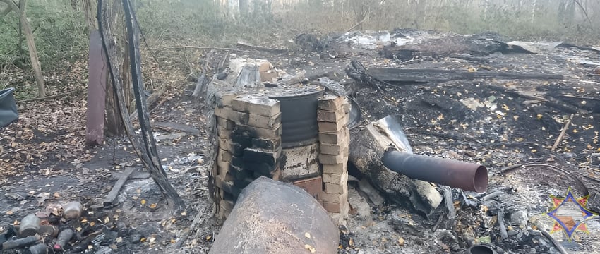 Останки женщины обнаружены в лесу в Браславском районе, она сгорела