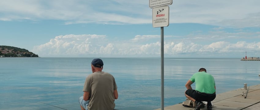 Запрет на лов судака устанавливается в Беларуси. За каждую особь – 720 рублей