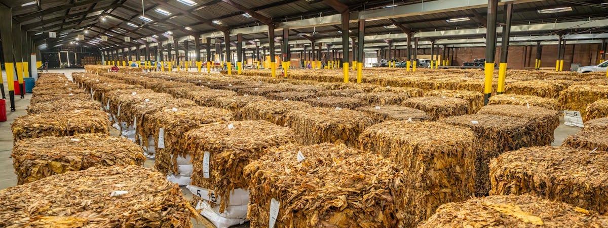 ЮАР включит в инфляционную корзину розовое вино