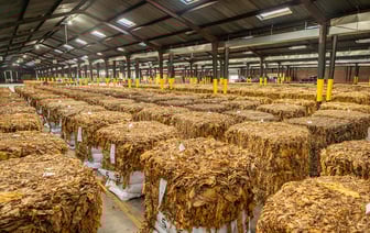 ЮАР включит в инфляционную корзину розовое вино