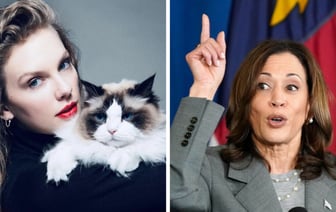 «Бездетная кошатница» Тейлор Свифт поддержала кандидатуру Харрис на пост президента США