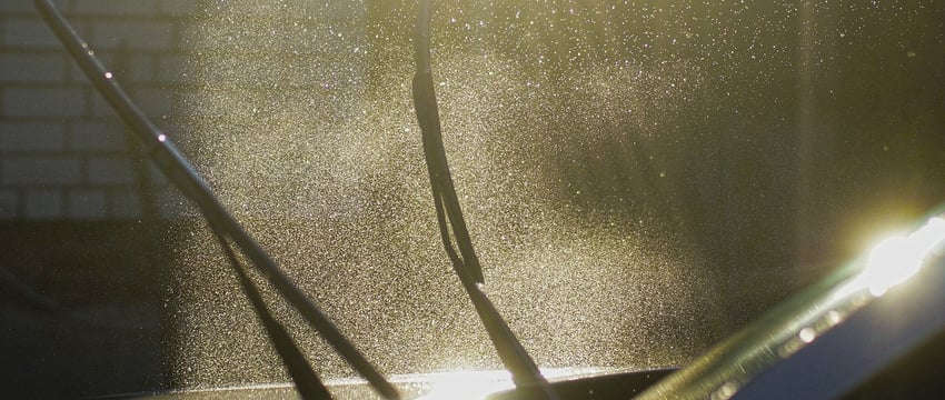 Изменение погоды в Витебской области