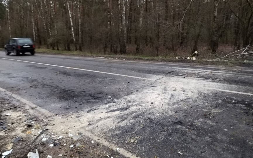 Упавшее на дорогу дерево стало причиной ДТП. Случай в Брестской области