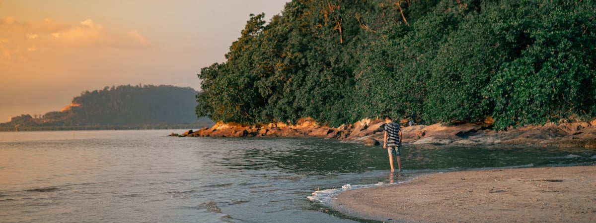 Пропалестинские радикалы устроили беспорядки в Амстердаме