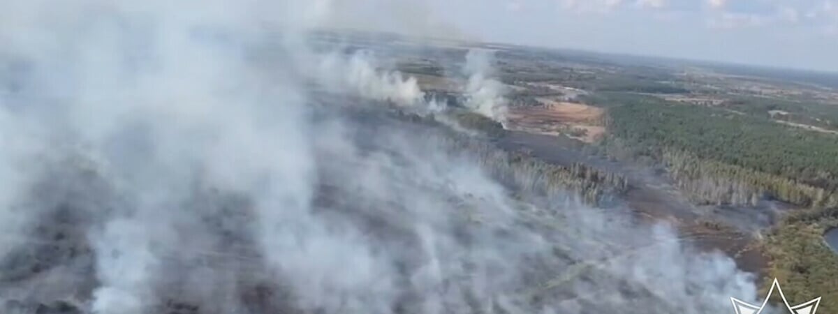 Второй за сутки. В МЧС сообщили о лесном пожаре площадью свыше 11 гектаров в Жлобинском районе — Видео