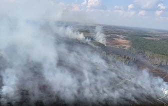 Второй за сутки. В МЧС сообщили о лесном пожаре площадью свыше 11 гектаров в Жлобинском районе — Видео