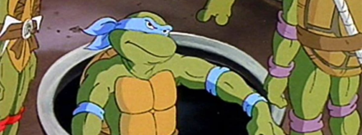 Черепашка Ниндзя? В Гродно мужчина вызвал милицию, когда увидел, как из канализационного люка вылез неизвестный