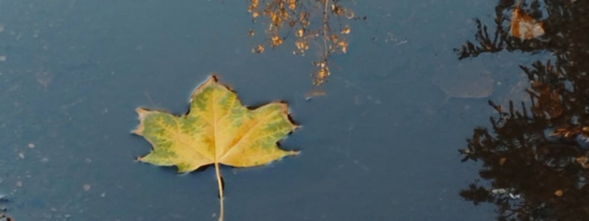 Холоднее по востоку страны, потепление по западу. Прогноз погоды на неделю с 25 ноября по 1 декабря