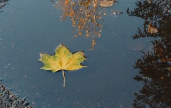 Холоднее по востоку страны, потепление по западу. Прогноз погоды на неделю с 25 ноября по 1 декабря