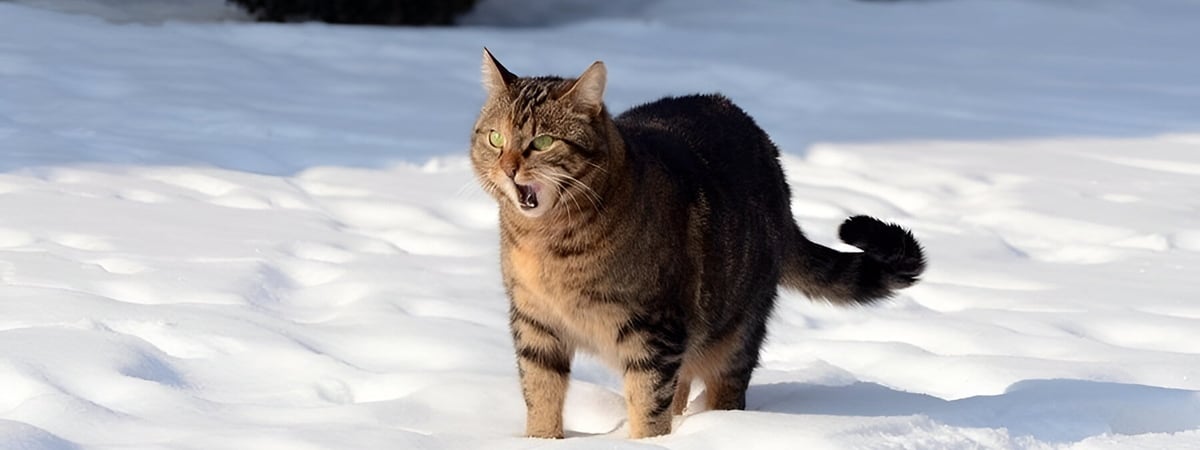 «Очень неровные прогнозы» — Синоптики попросили белорусов «не заглядывать» дальше, чем на 2-3 дня. Что случилось? — Фото