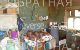 В Ошмянском районе мужчина чуть не задушил сожительницу, когда та встала попить воды — что случилось