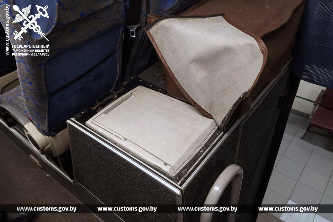 В Беларусь на рейсовом автобусе пытались провезти питонов