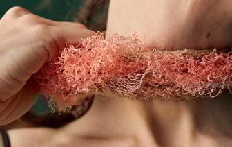 «Неслабо удивился, когда вытащил это чудо на берег». Рыбак из Полоцка поймал в Двине черепаху