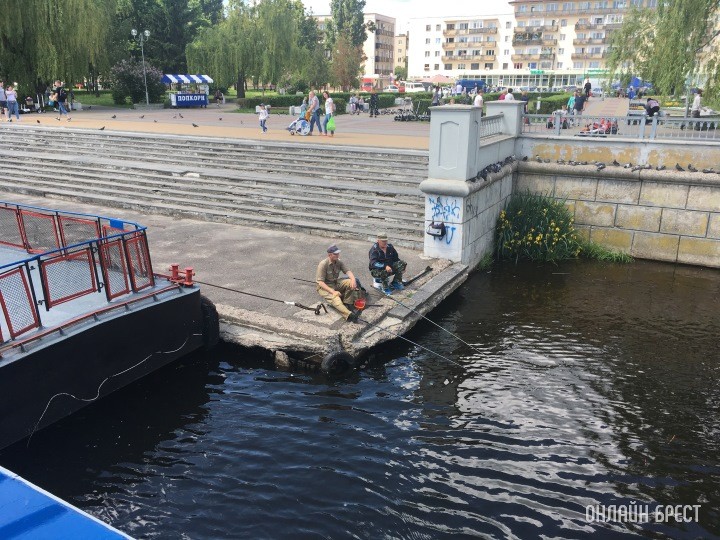 Фото носит иллюстративный характер