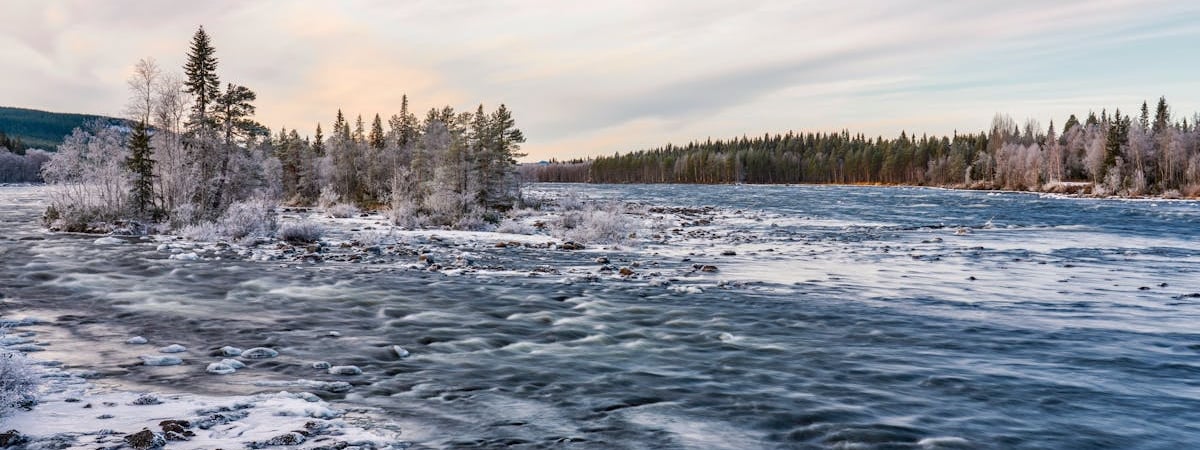 Майнинговые фермы будут строить в Могилевской области