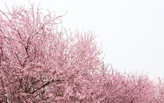 Увидим ли снег на этой неделе? Синоптики рассказали о погоде в Полоцке и Новополоцке