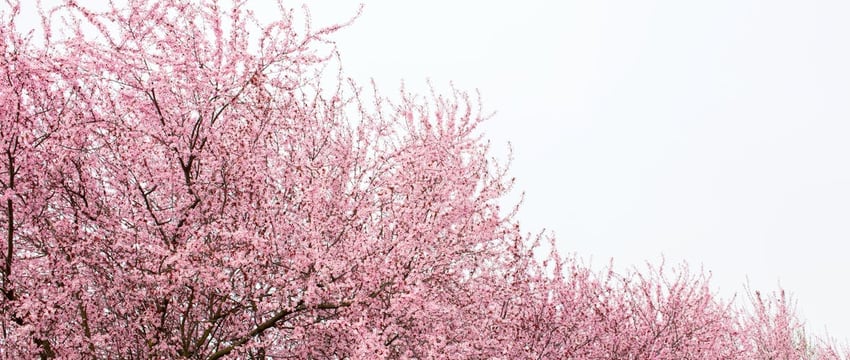 Увидим ли снег на этой неделе? Синоптики рассказали о погоде в Полоцке и Новополоцке