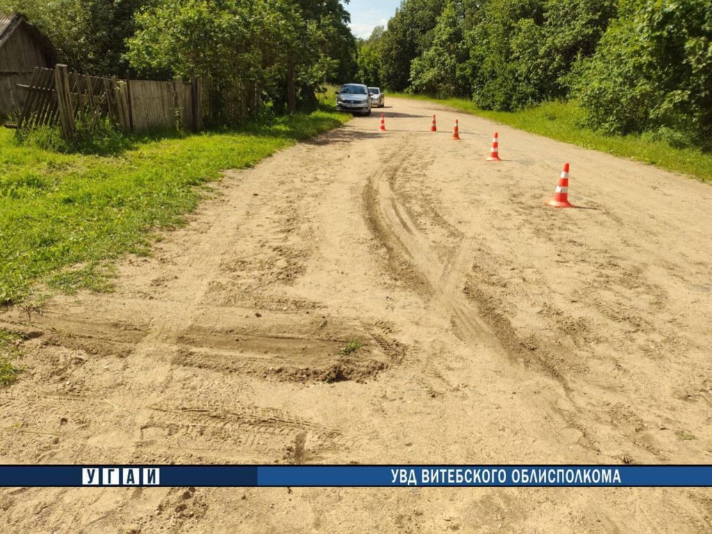 В Толочинском районе водитель сбил односельчанина и скрылся с места ДТП. Фото ГАИ