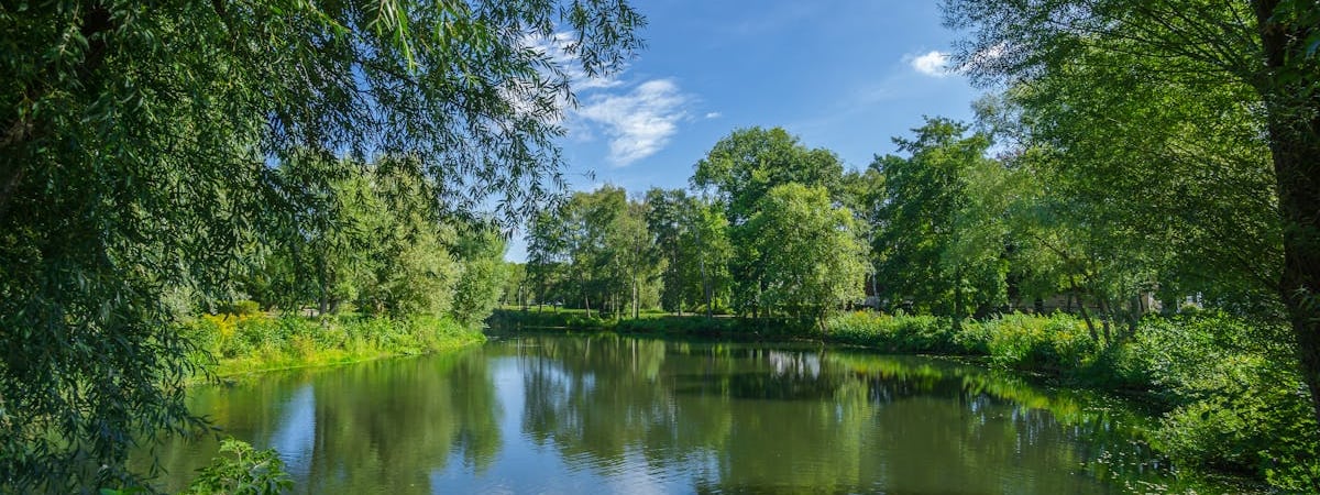 Летний сезон уличной торговли в Минске начнется с 1 мая