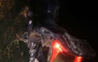 На трассе М1 мотоциклист наехал на сбитого лося