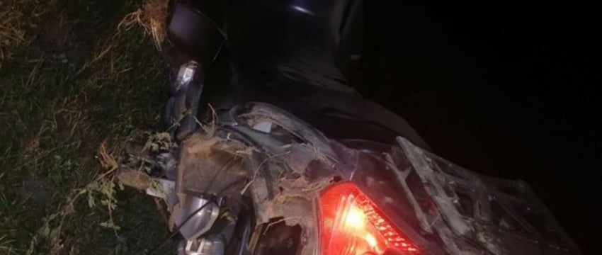 На трассе М1 мотоциклист наехал на сбитого лося