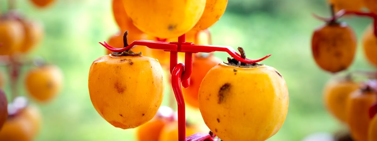 Apple увеличивает производство iPhone в Индии