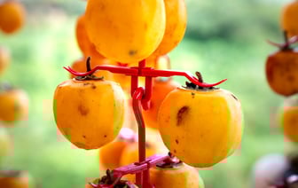 Apple увеличивает производство iPhone в Индии