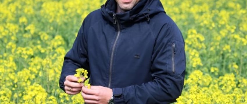 В Брестской области цветет рапс. Рекордно рано