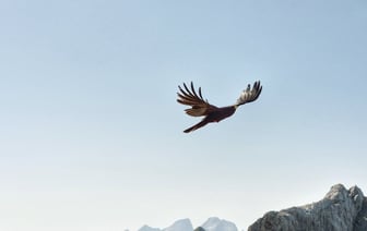 В Бразилии завершили расшифровку "черных ящиков" разбившегося вблизи Актау самолета