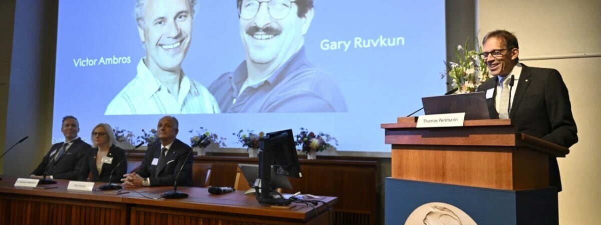 Нобелевку-2024 по медицине вручили за микроРНК, сулящие перспективные лекарства от рака