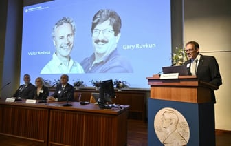 Нобелевку-2024 по медицине вручили за микроРНК, сулящие перспективные лекарства от рака