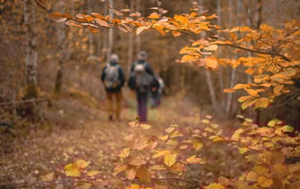 Теплый и влажный — прошедший ноябрь в Витебске был теплее обычного