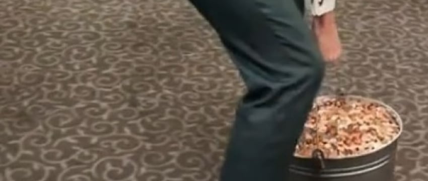 Жениху с невестой на свадьбе подарили ведро белорусских монет