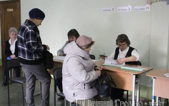 На выборы Президента Беларуси аккредитовано почти 600 национальных наблюдателей