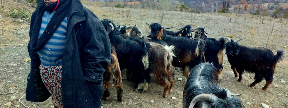 Уровень занятости населения Беларуси в 2024 году составил 67,5%