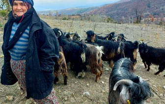 Уровень занятости населения Беларуси в 2024 году составил 67,5%