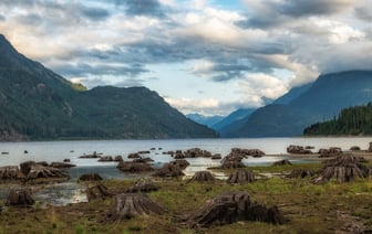 Нырнул и пропал. В Полоцком районе утонул человек