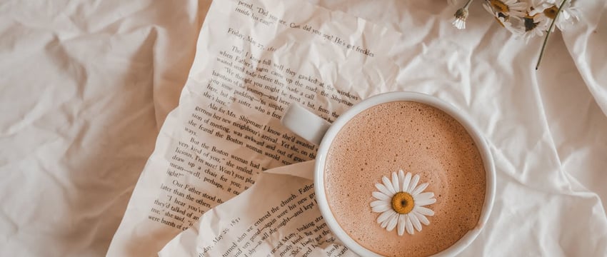 Лобовое столкновение в Полоцком районе: водитель и пассажир в больнице