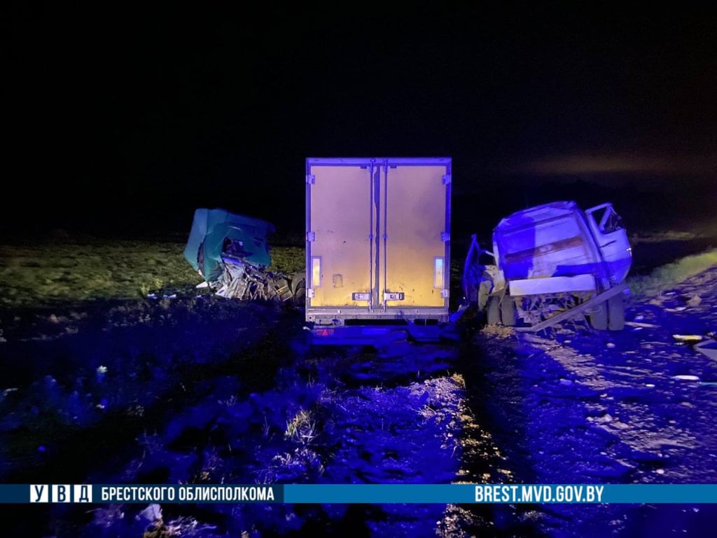 Mercedes влетел под фуру в Брестской области