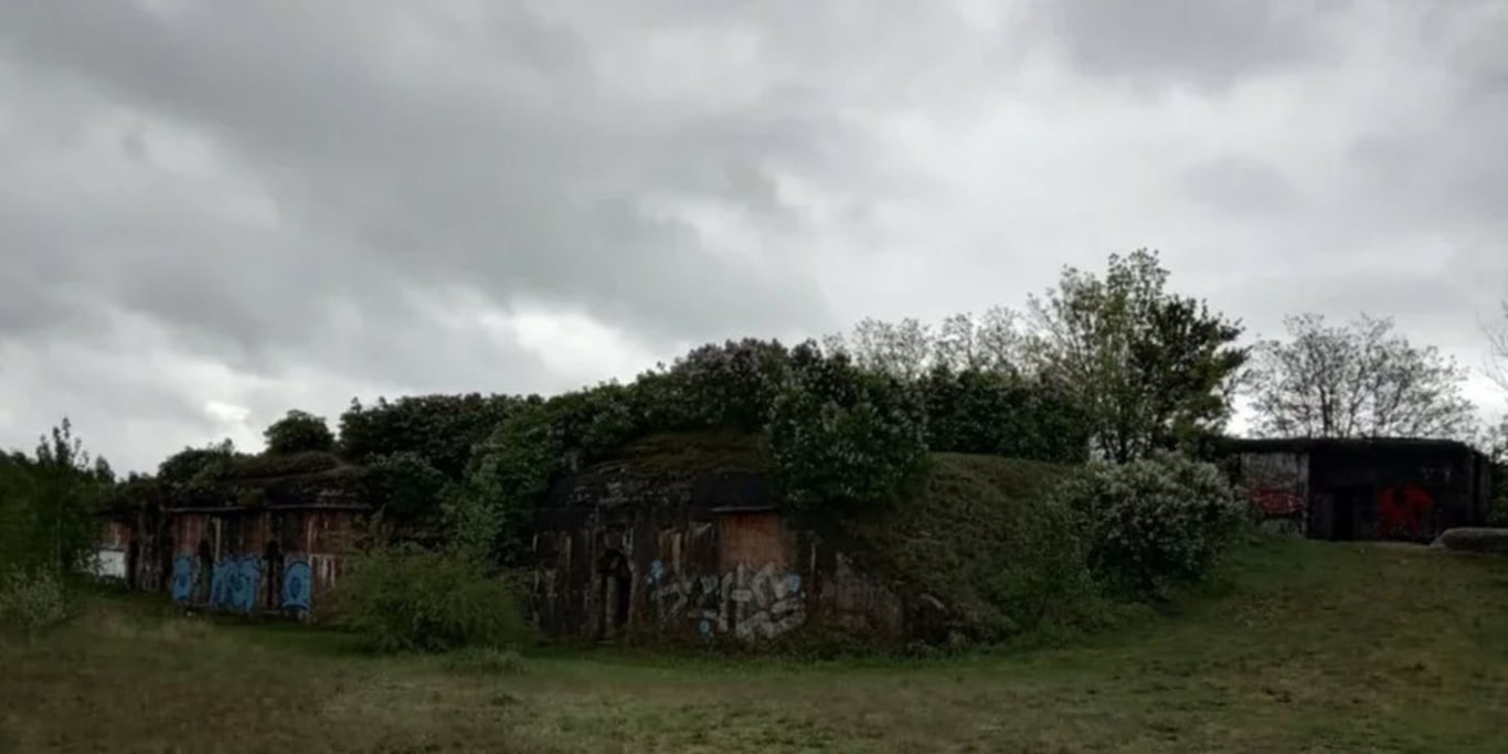 Nzpx8davvt3sragwxvcmzocz4lnxrori 1