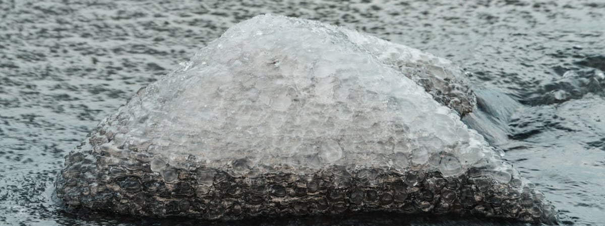 Цены на электроэнергию в Польше не будут повышаться в 2025 году