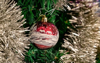 Чудеса на Новый год. Когда откроется резиденция Деда Мороза в Полоцке?